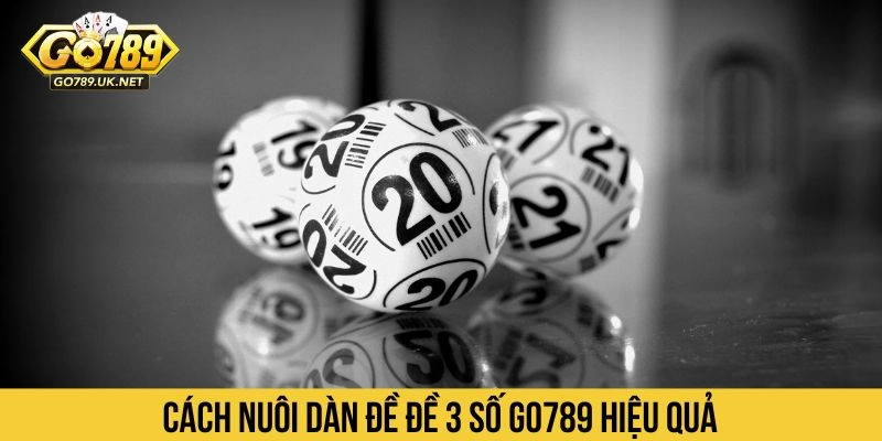 Cách nuôi dàn đề đề 3 số GO789 hiệu quả 