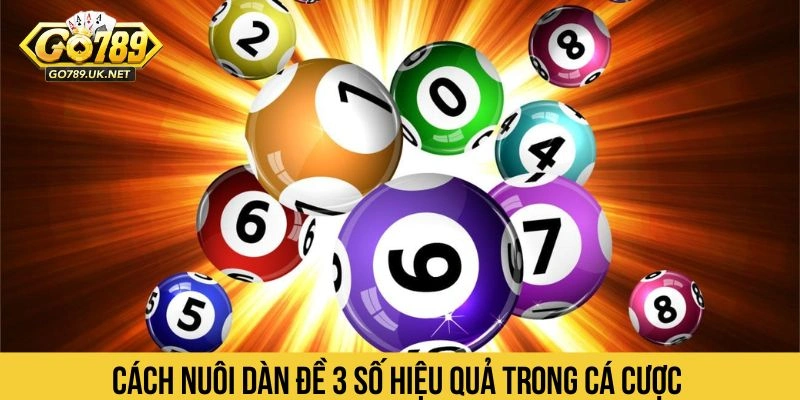 Cách nuôi dàn đề 3 số hiệu quả trong cá cược