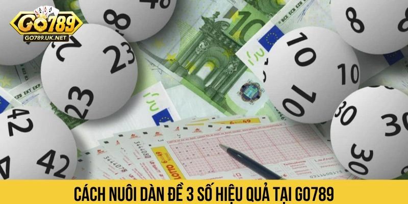 Cách nuôi dàn đề 3 số hiệu quả