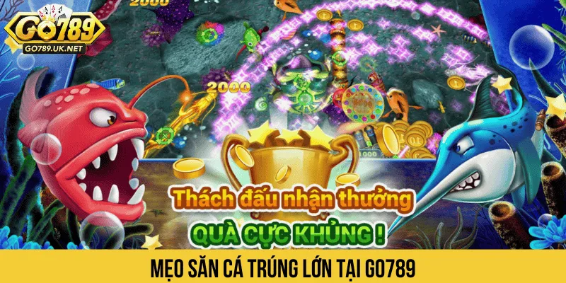 Chiến thuật bắn cá ăn xu dồn đạn bắn nhiều mục tiêu