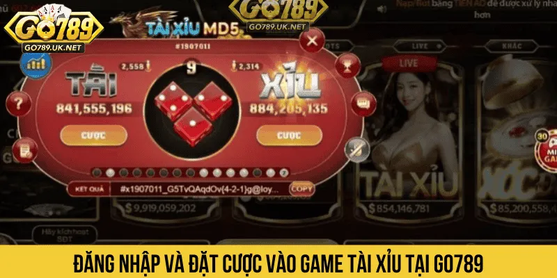 Đăng nhập và đặt cược vào game Tài Xỉu tại GO789