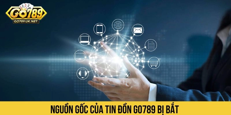 Nguồn gốc của tin đồn Go789 bị bắt 