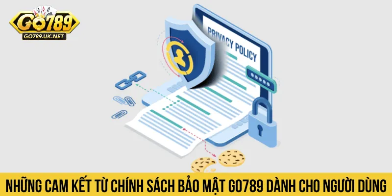 Những cam kết từ chính sách bảo mật GO789 dành cho người dùng